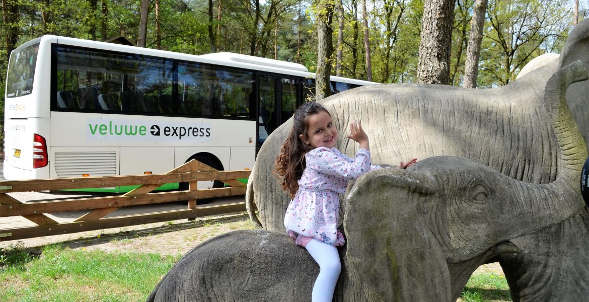 Veluwe Express