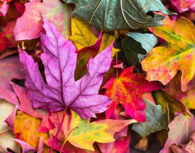 herfst