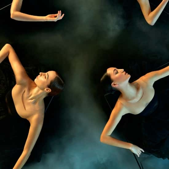 Introdans Icoon