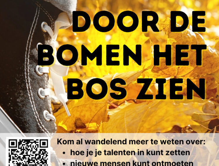 Herfstwandeling Arnhem